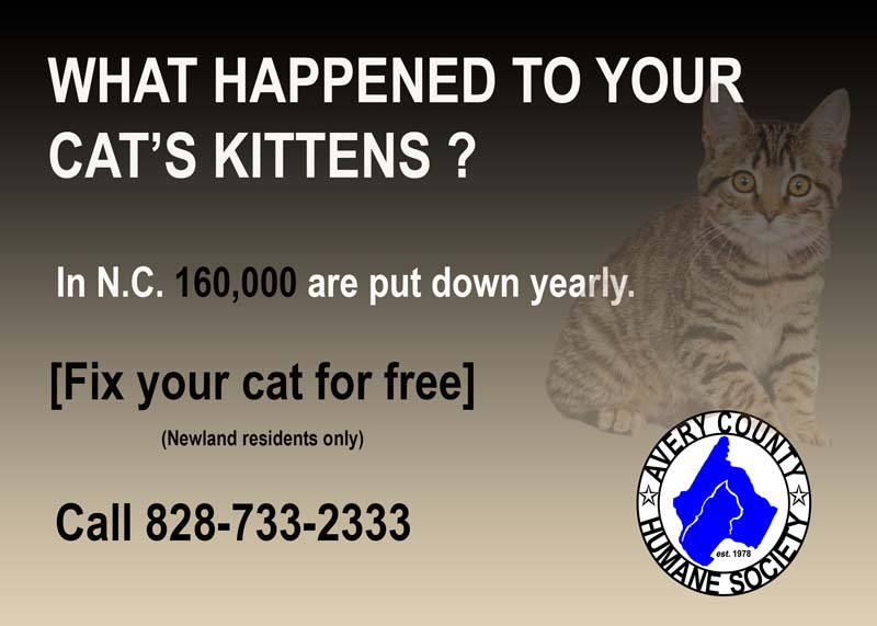 Fixyourcat.jpg Fixyourcat.jpg