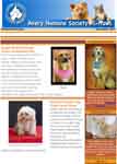 newsletterimage.jpg newsletterimage.jpg