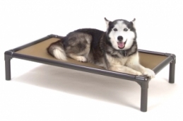 animals/Kuranda Bed.jpg