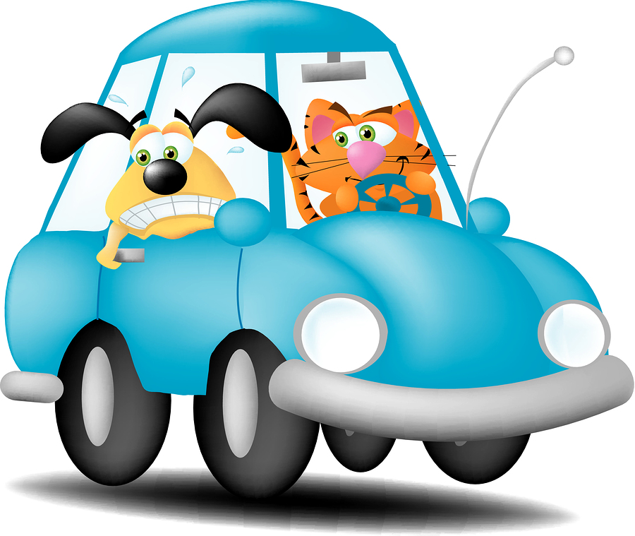 bigstock-Cat-Driving-Dog-3607780.jpg bigstock-Cat-Driving-Dog-3607780.jpg