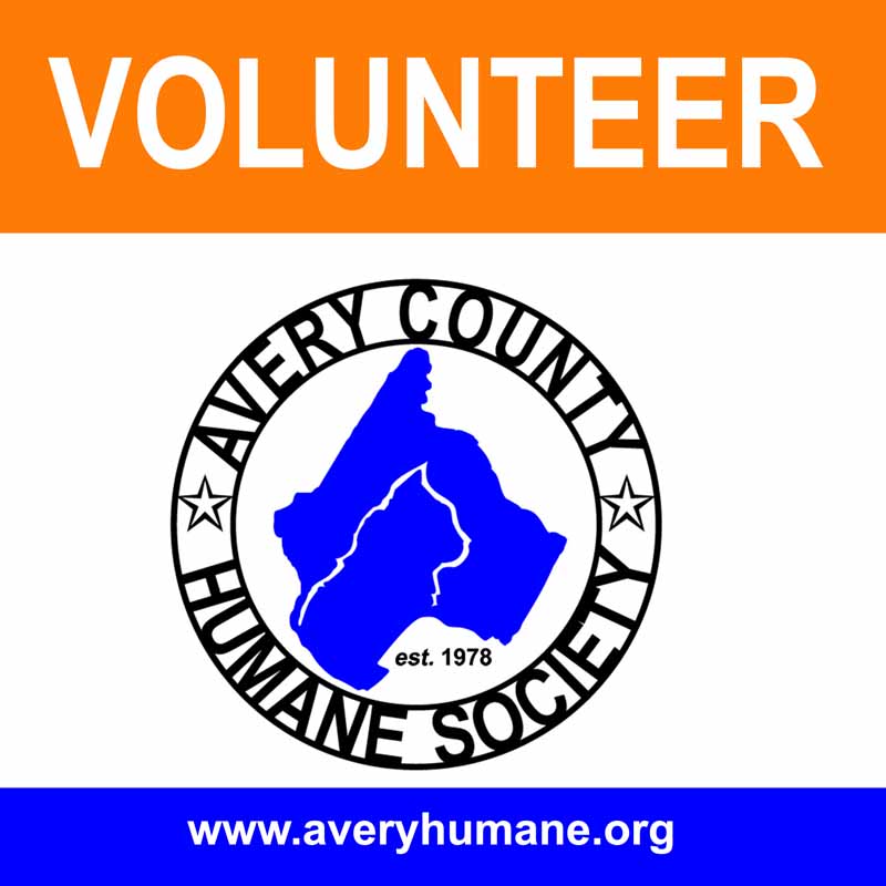 volunteer.jpg volunteer.jpg