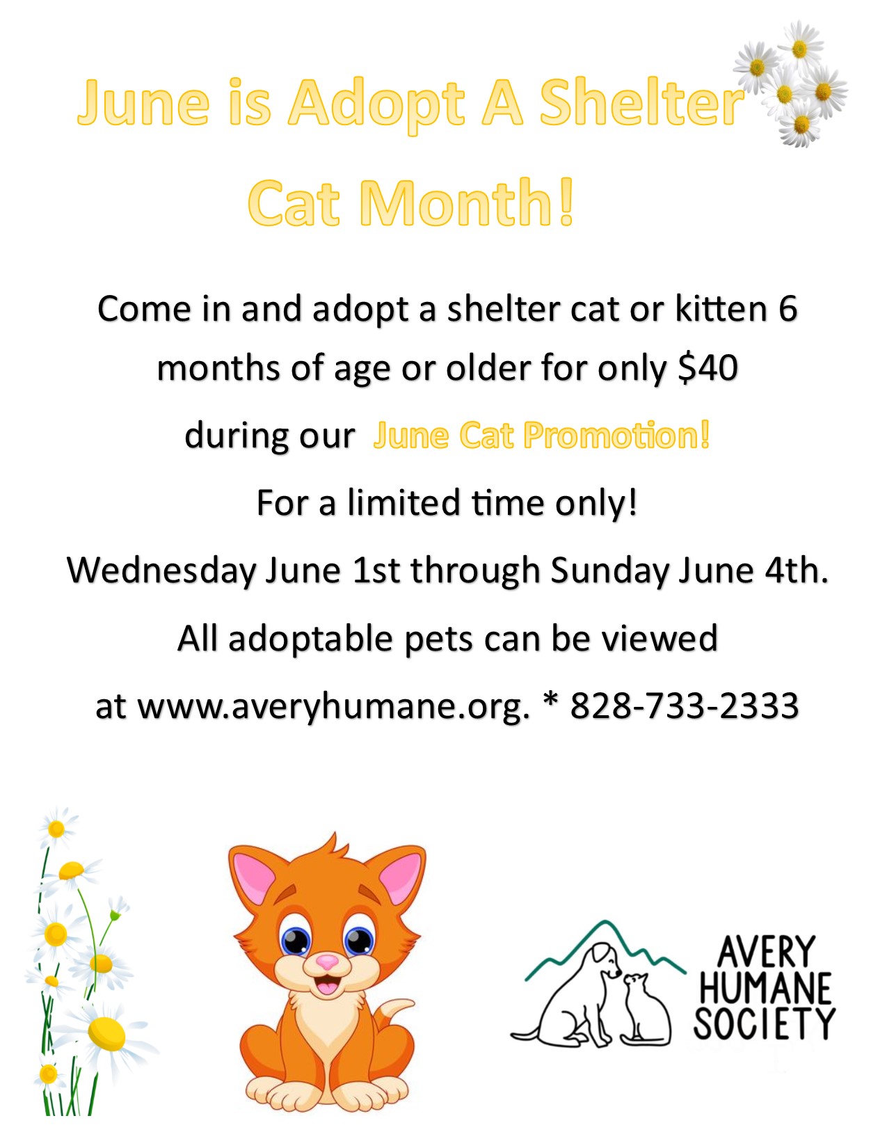 Adopt a Shelter Cat Month_2
