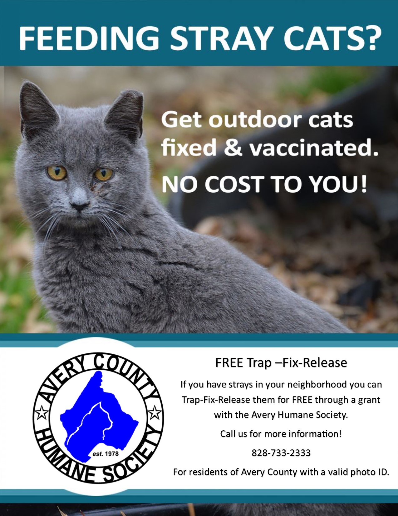 get your cat fixed for free