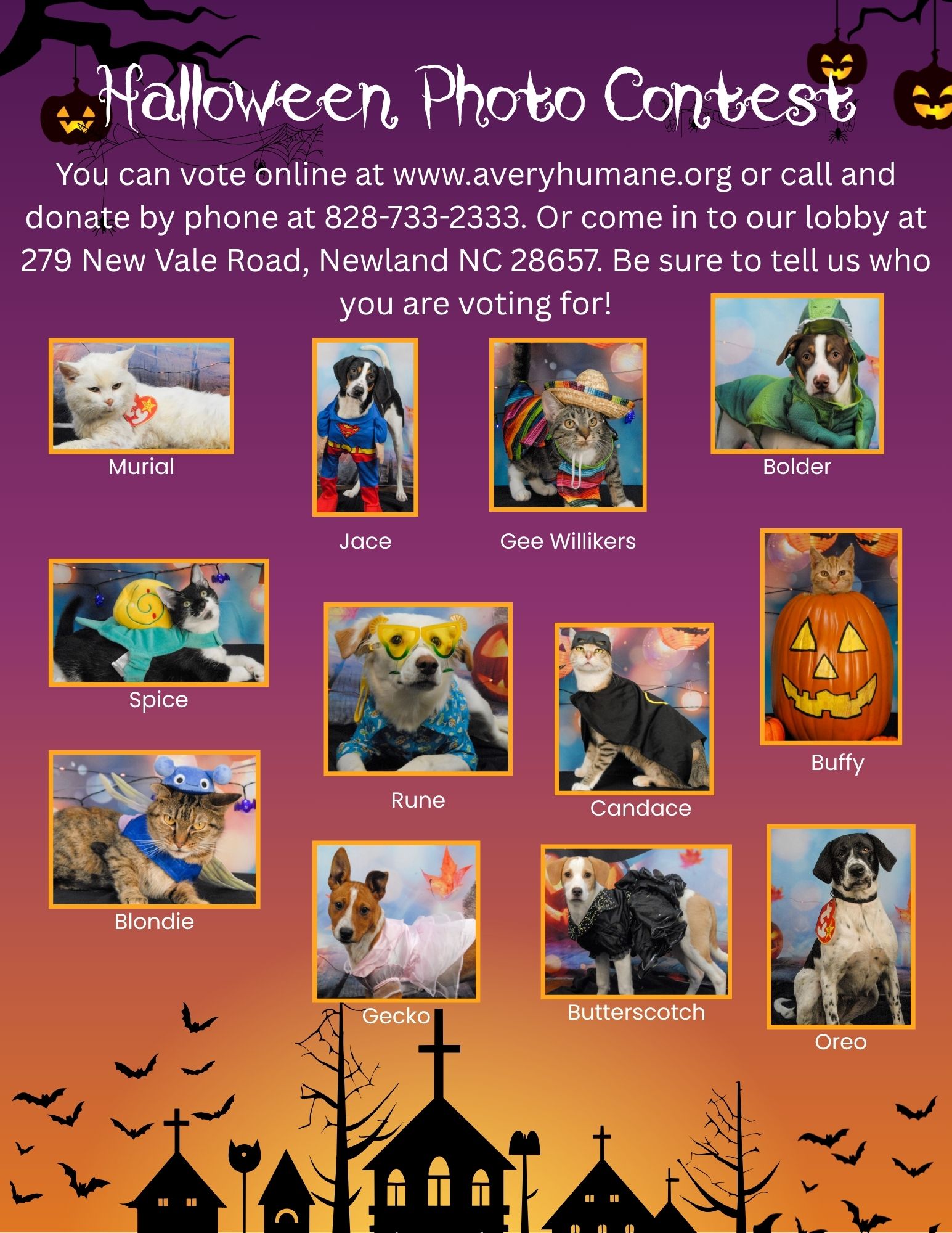 Halloween Photo Contest