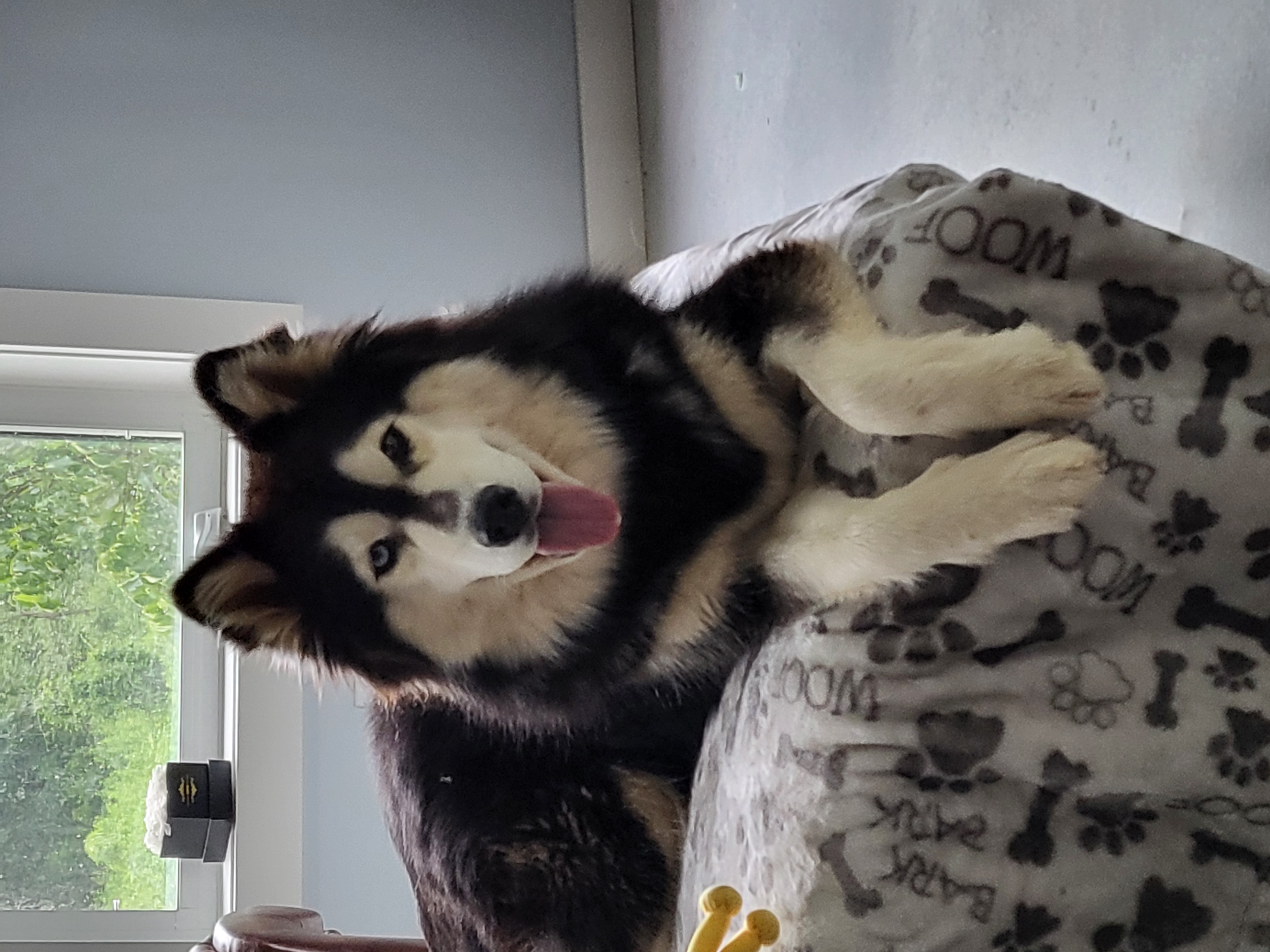 Ella