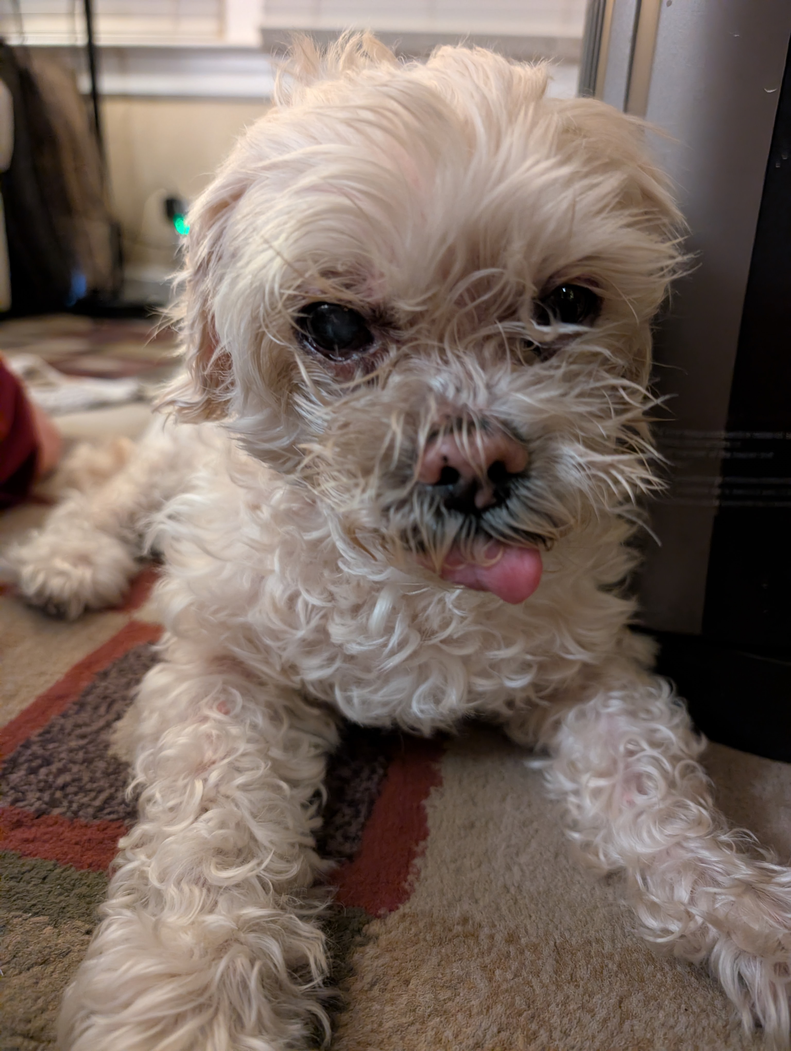Sam